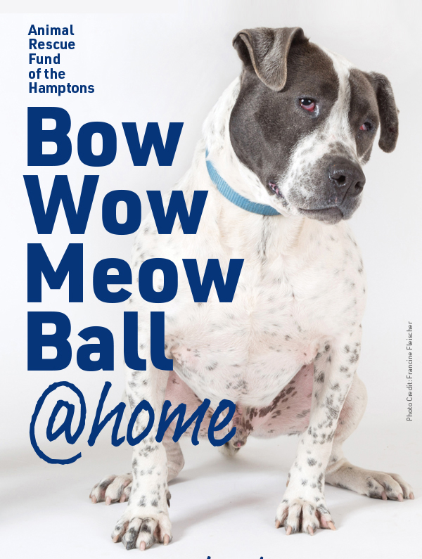 Bow Wow Meow Ball  Animal Rescue Fund of the Hamptons