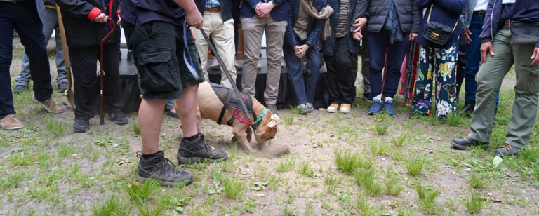 Animal Rescue Fund of the Hamptons