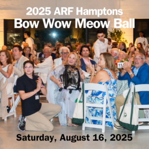 2025 Bow Wow Meow Ball @ ARF - William P. Rayner Training Center