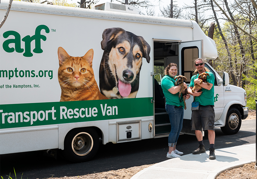 Animal Rescue Fund of the Hamptons