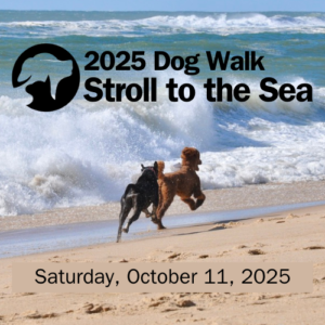 2025 Stroll to the Sea Dog Walk @ Mulford Farm